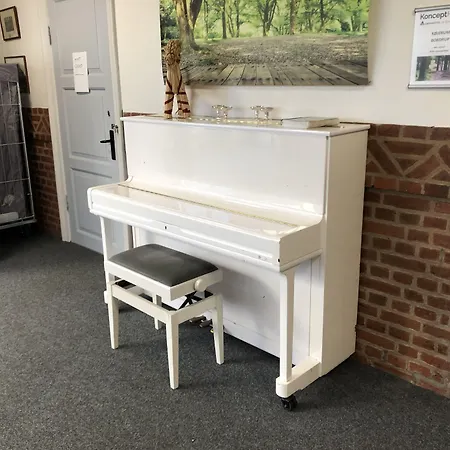 Ξενοδοχείο Koncepthotel