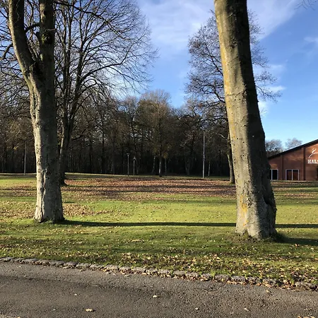 Ξενοδοχείο Koncepthotel 4*